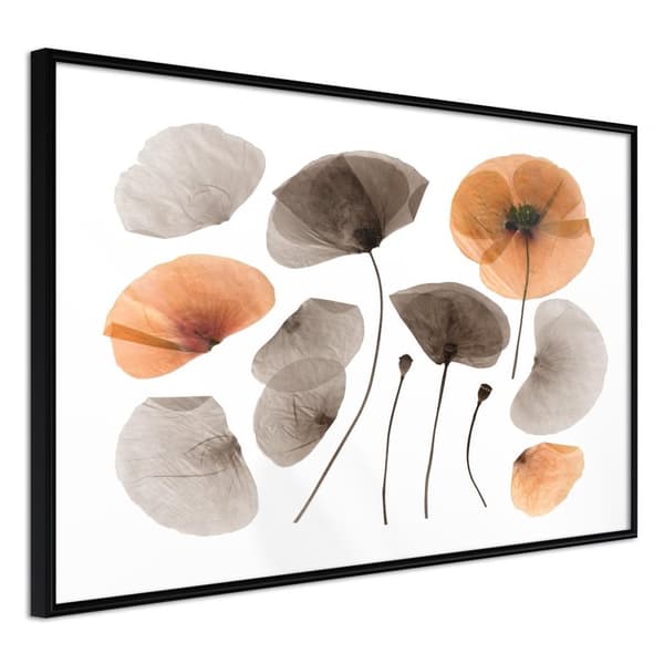 Inramad Poster / Tavla - Dried Poppies
