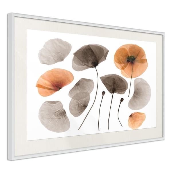 Inramad Poster / Tavla - Dried Poppies