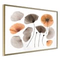 Miniatyrbild 1 av 11: Inramad Poster / Tavla - Dried Poppies