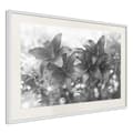 Miniatyrbild 1 av 11: Inramad Poster / Tavla - Dark Lillies