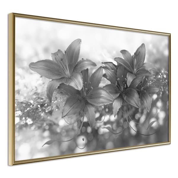 Inramad Poster / Tavla - Dark Lillies