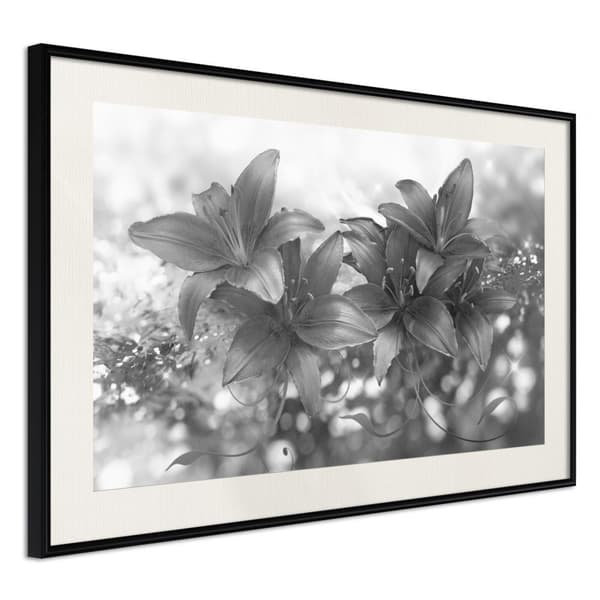 Inramad Poster / Tavla - Dark Lillies