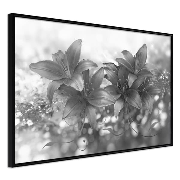 Inramad Poster / Tavla - Dark Lillies