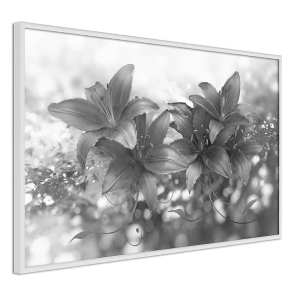 Inramad Poster / Tavla - Dark Lillies