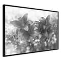 Miniatyrbild 1 av 11: Inramad Poster / Tavla - Dark Lillies