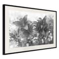 Miniatyrbild 4 av 11: Inramad Poster / Tavla - Dark Lillies