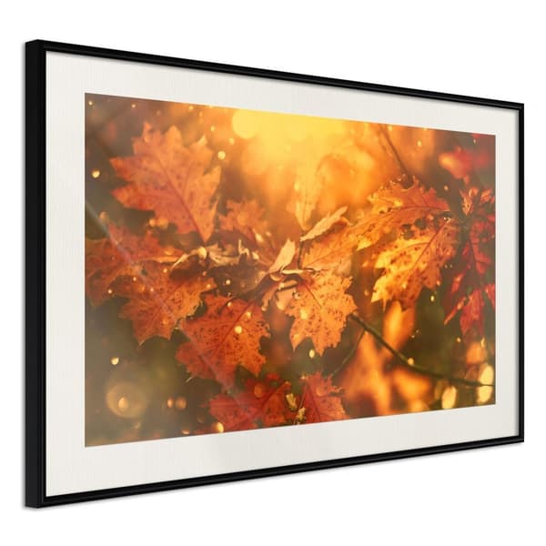 Inramad Poster / Tavla - Golden Autumn