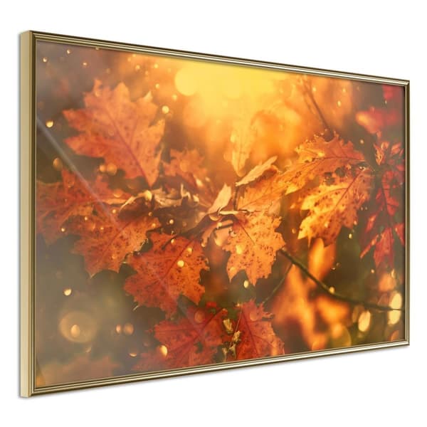 Inramad Poster / Tavla - Golden Autumn
