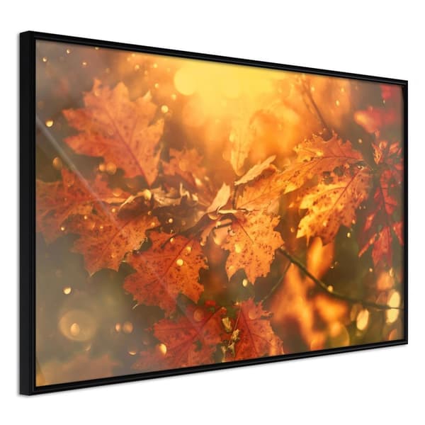 Inramad Poster / Tavla - Golden Autumn