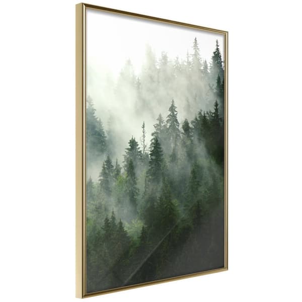 Inramad Poster / Tavla - Steaming Forest
