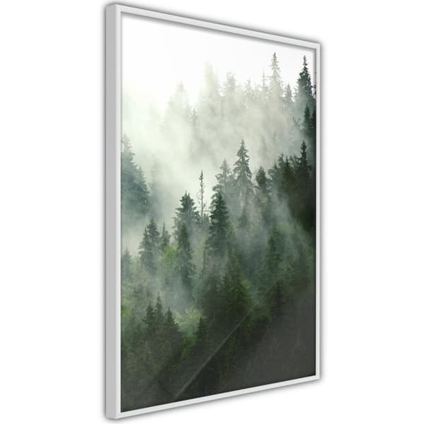 Inramad Poster / Tavla - Steaming Forest