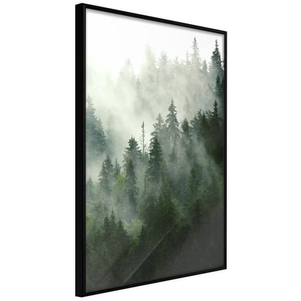 Inramad Poster / Tavla - Steaming Forest