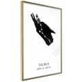 Miniatyrbild 1 av 11: Inramad Poster / Tavla - Zodiac: Taurus I