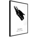 Miniatyrbild 1 av 11: Inramad Poster / Tavla - Zodiac: Taurus I