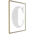 Miniatyrbild 1 av 11: Inramad Poster / Tavla - Capital C