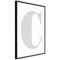 Miniatyrbild 1 av 11: Inramad Poster / Tavla - Capital C
