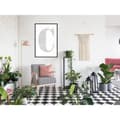 Miniatyrbild 2 av 11: Inramad Poster / Tavla - Capital C