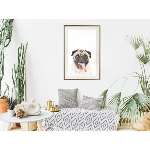 Inramad Poster / Tavla - Funny Pug