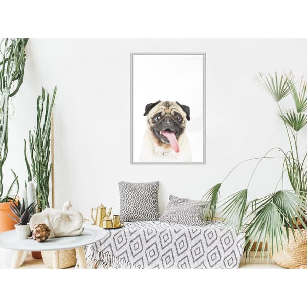 Inramad Poster / Tavla - Funny Pug