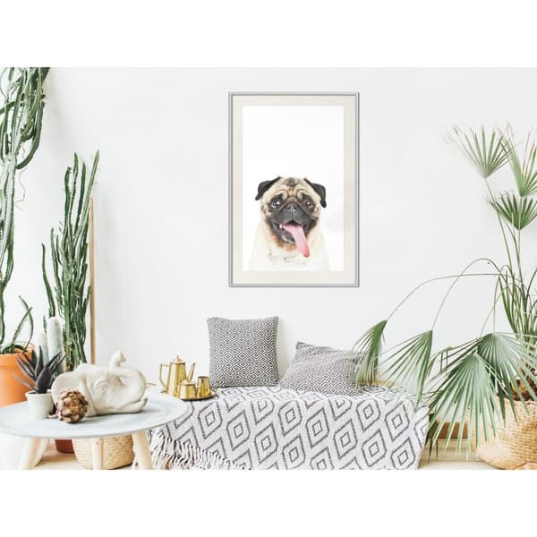 Inramad Poster / Tavla - Funny Pug