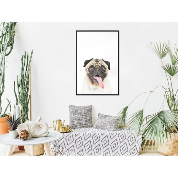 Inramad Poster / Tavla - Funny Pug