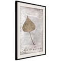 Miniatyrbild 4 av 11: Inramad Poster / Tavla - Dried Leaf