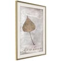 Miniatyrbild 9 av 11: Inramad Poster / Tavla - Dried Leaf