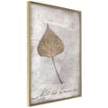 Miniatyrbild 1 av 11: Inramad Poster / Tavla - Dried Leaf