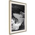 Miniatyrbild 9 av 11: Inramad Poster / Tavla - Duckweed