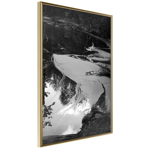 Inramad Poster / Tavla - Duckweed