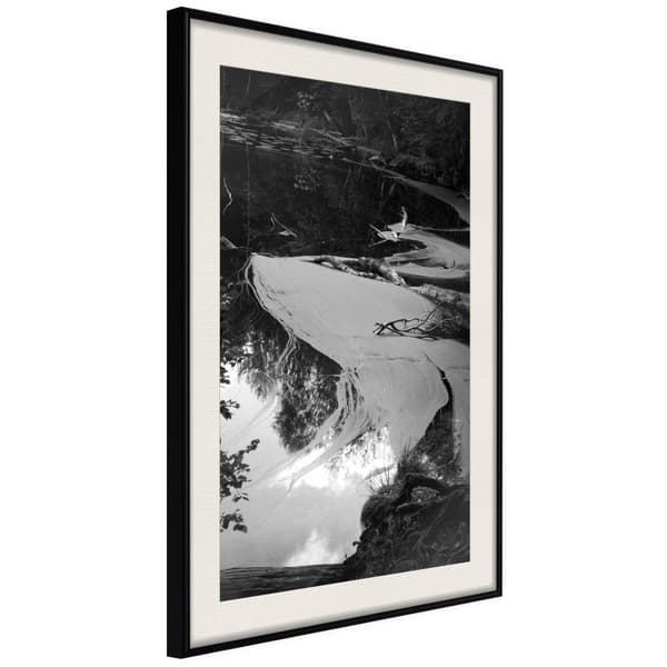 Inramad Poster / Tavla - Duckweed