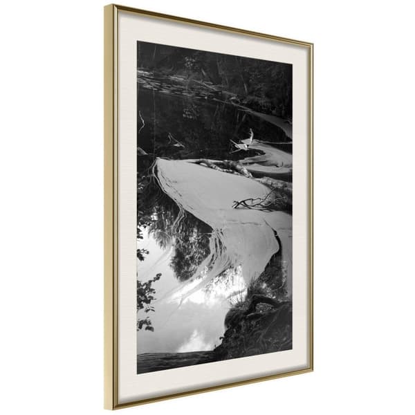 Inramad Poster / Tavla - Duckweed
