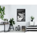 Miniatyrbild 2 av 11: Inramad Poster / Tavla - Duckweed
