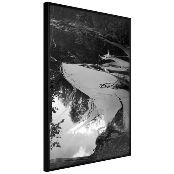 Inramad Poster / Tavla - Duckweed Svart ram 40x60