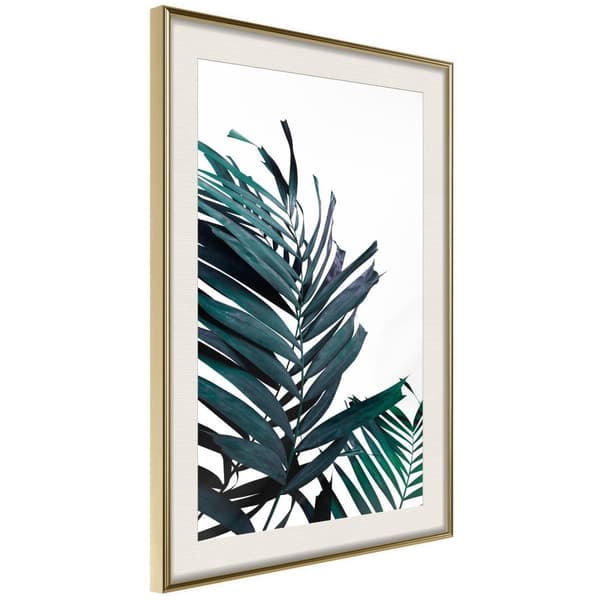 Inramad Poster / Tavla - Evergreen Palm Leaves
