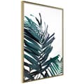 Miniatyrbild 1 av 11: Inramad Poster / Tavla - Evergreen Palm Leaves