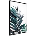 Miniatyrbild 1 av 11: Inramad Poster / Tavla - Evergreen Palm Leaves
