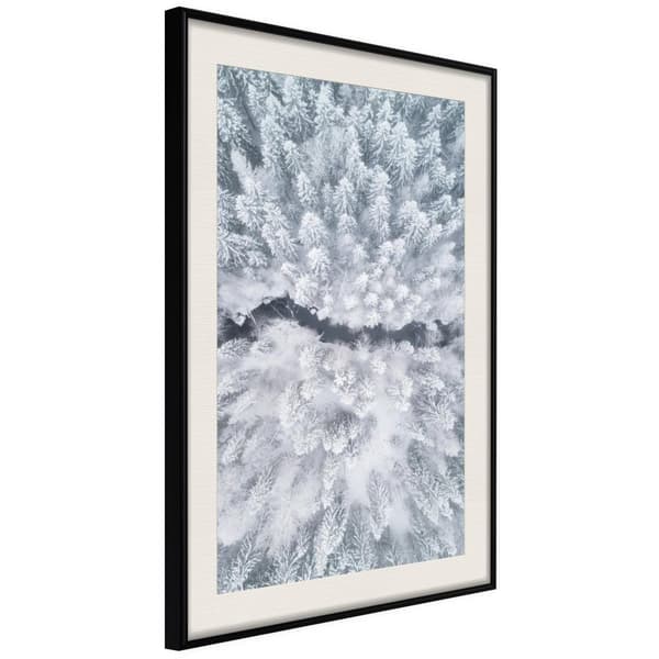 Inramad Poster / Tavla - Winter Forest From a Bird's Eye View