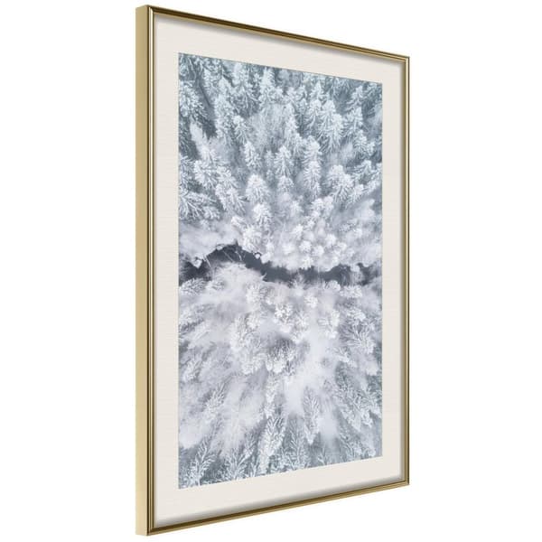 Inramad Poster / Tavla - Winter Forest From a Bird's Eye View