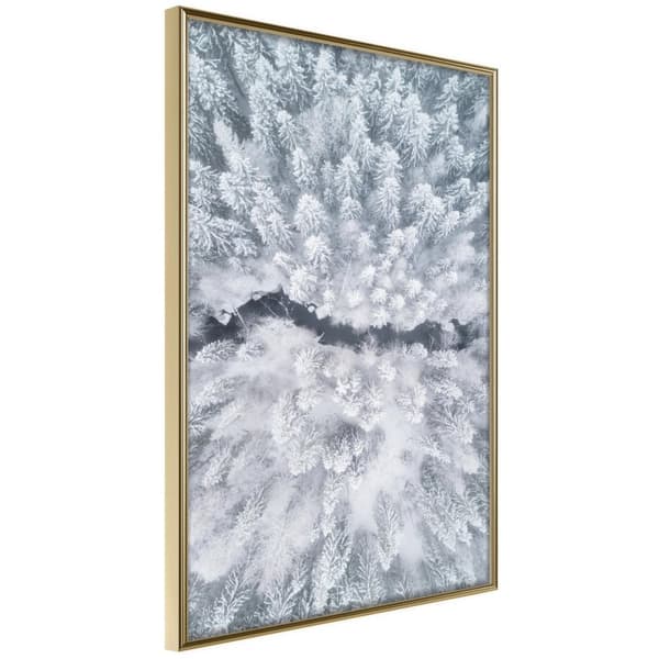 Inramad Poster / Tavla - Winter Forest From a Bird's Eye View Guldram 40x60
