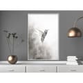 Miniatyrbild 10 av 11: Inramad Poster / Tavla - Hummingbird in Shades of Grey