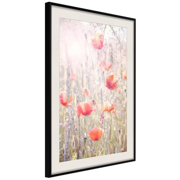 Inramad Poster / Tavla - Poppies