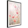 Miniatyrbild 4 av 11: Inramad Poster / Tavla - Poppies