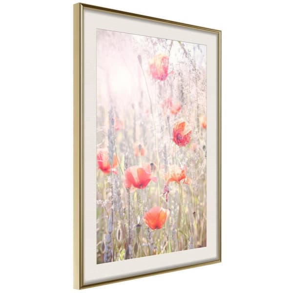Inramad Poster / Tavla - Poppies