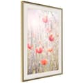 Miniatyrbild 9 av 11: Inramad Poster / Tavla - Poppies