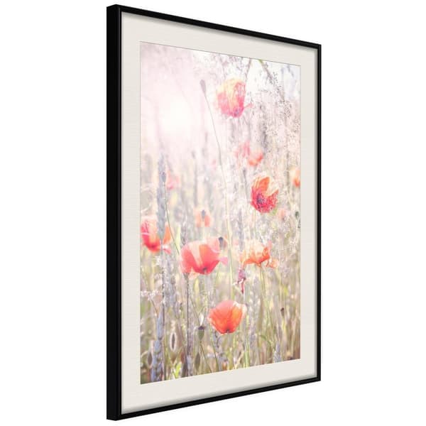 Inramad Poster / Tavla - Poppies