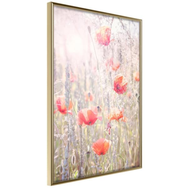 Inramad Poster / Tavla - Poppies