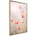 Miniatyrbild 1 av 11: Inramad Poster / Tavla - Poppies