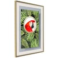 Miniatyrbild 9 av 11: Inramad Poster / Tavla - Parrot Says Hi