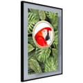 Miniatyrbild 1 av 11: Inramad Poster / Tavla - Parrot Says Hi